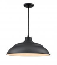  RALWHC20-SB - R Series 1-Light Cord Hung Aluminum Warehouse Satin Black