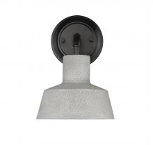  11101-TC - Outdoor Wall Sconce