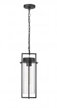  10521-PBK - Outdoor Hanging Lantern