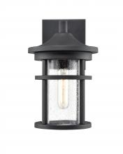  91301-TBK - Outdoor Wall Sconce