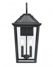  91422-TBK - Outdoor Wall Sconce