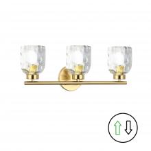  VLA-213W-AGB-CLR - 3LT Vanity, AGB w/ CLR Glass