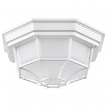  62/1399 - LED Spider Cage Fixture; White Finish with Frosted Glass