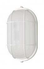  62/1410 - LED Oval Bulk Head Fixture; White Finish with White Glass