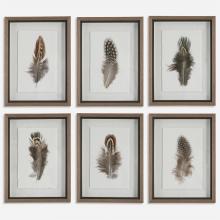  41460 - Uttermost Birds Of A Feather Framed Prints, S/6