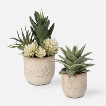  60208 - Uttermost Seaside Succulents, Set/2