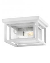  1003TW - Small Flush Mount