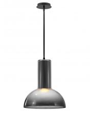  FR41577BK-LL - Large Pendant